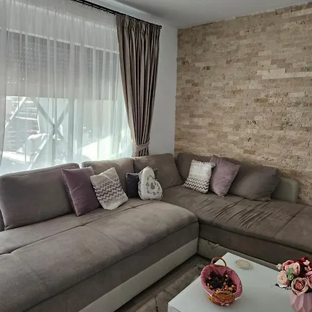 Pensiunea Alina Homestay Tarlungeni